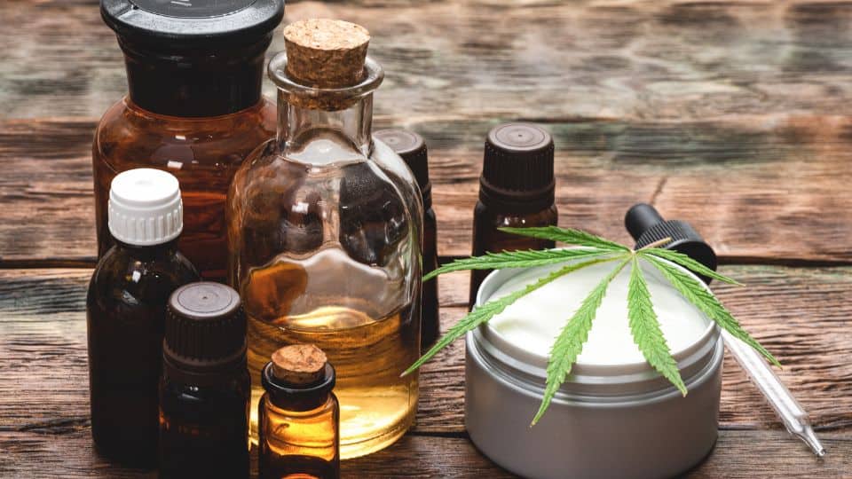 CBD לכלבים