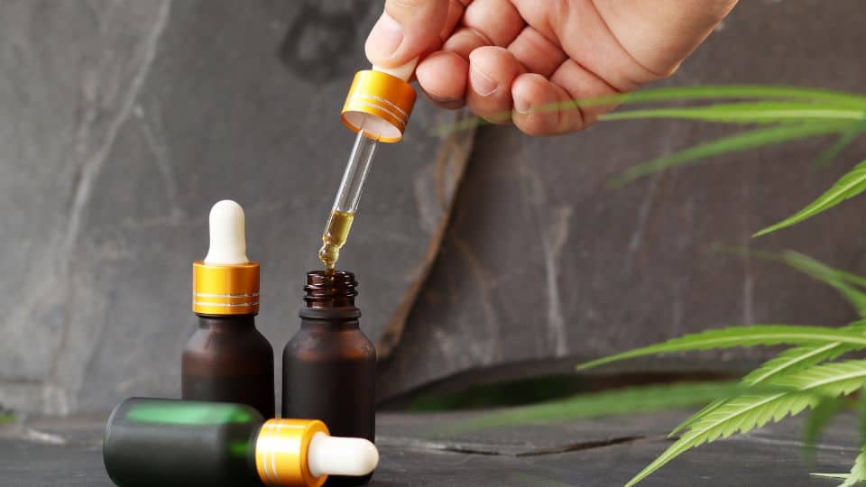 CBD לכלבים